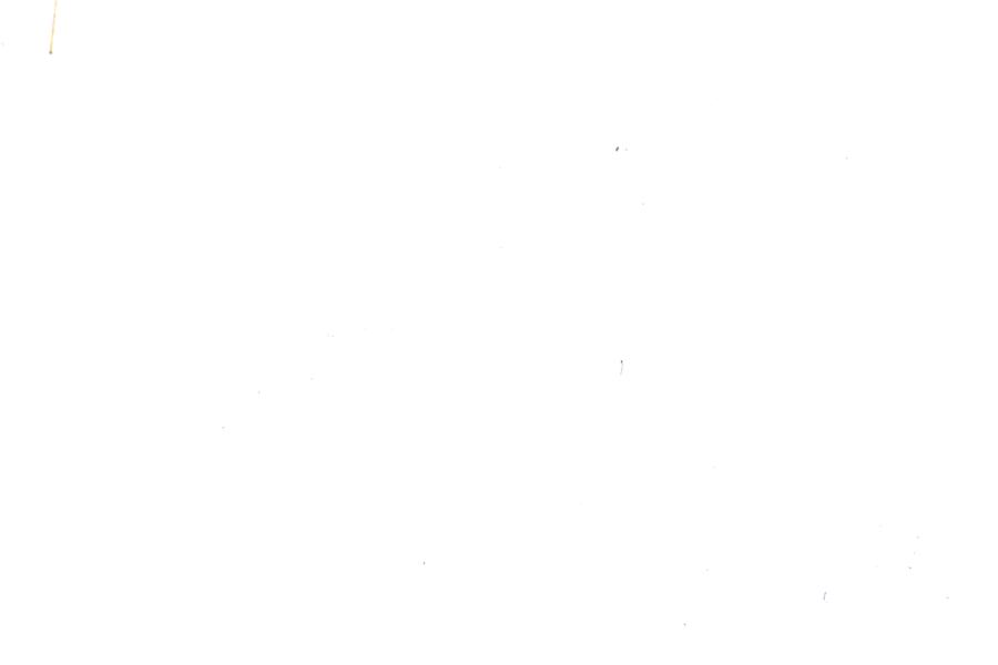 Image 31